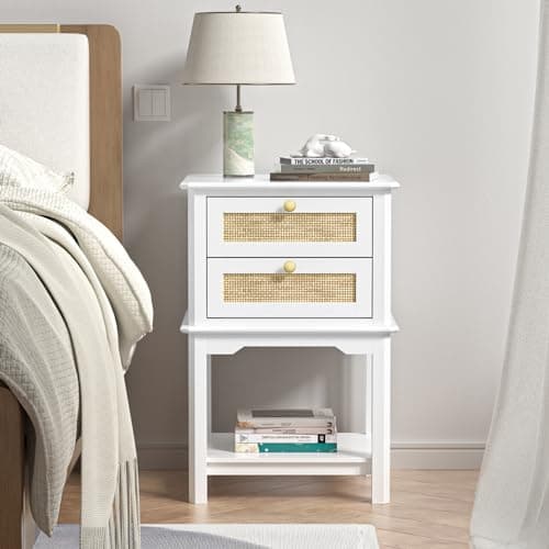 Giluta Natural Rattan 2-Drawer Nightstand, 27.95" H