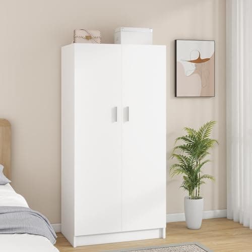 Panana 2 Door Wood Wardrobe with Hanging Rail & Shelves, White Bedroom Armoire