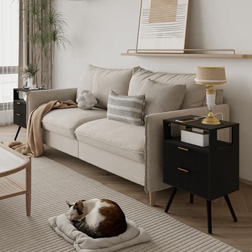 Modern Black Nightstand with Charging and LED Lights, 2 Drawers and Shelf