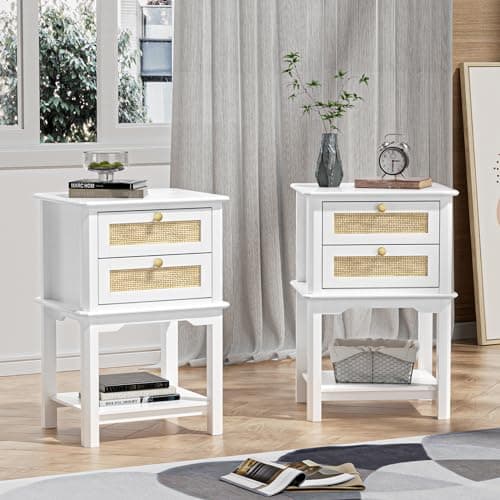 Giluta Natural Rattan 2-Drawer Nightstand, 27.95" H